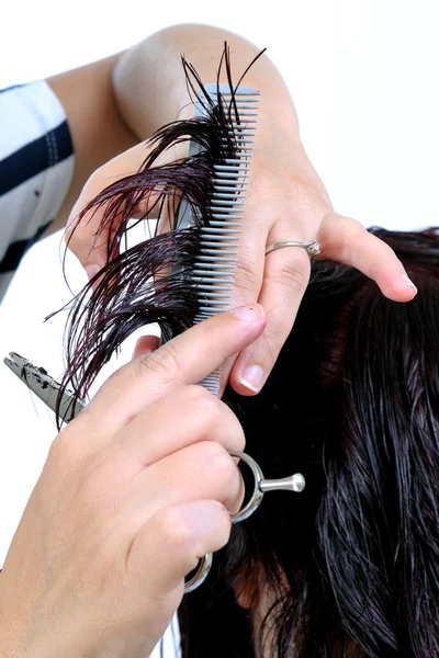 A stylish haircut of a woman. — Stock Photo, Image