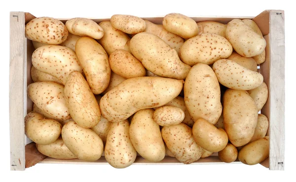 Harvested potatoes in a wooden case — Stock Photo, Image
