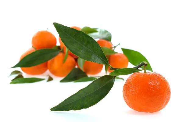 Frische Clementinen aus biologischem Anbau, auf weißem Hintergrund — Stockfoto