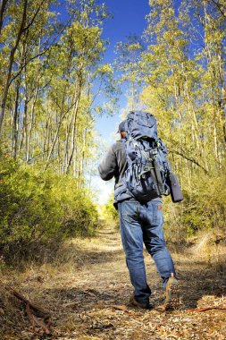 Yetişkin adam bir ülke iz trekking pratik