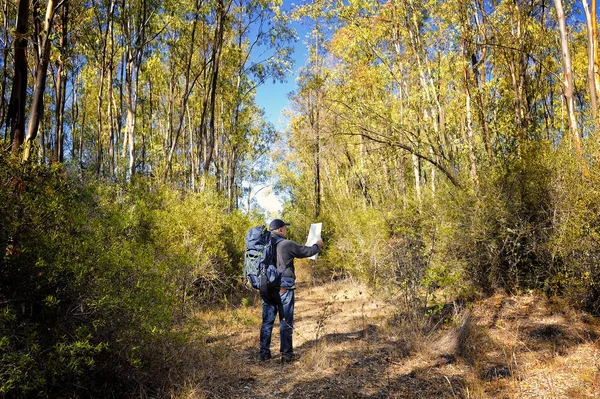 Adult man looking at map on a country trail