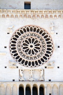 Assisi detay