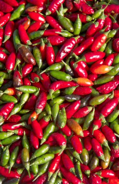 Kırmızı ve yeşil biber