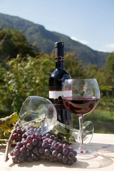 Garrafa de vinho tinto com vinhedos — Fotografia de Stock