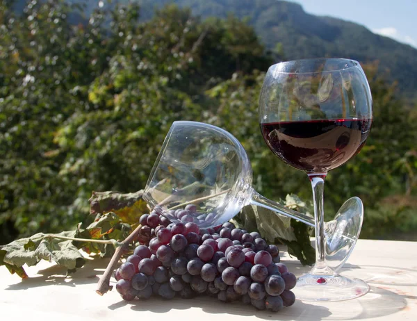 Rotwein und Trauben — Stockfoto