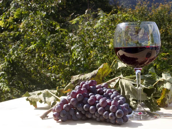 Rotwein und Trauben — Stockfoto