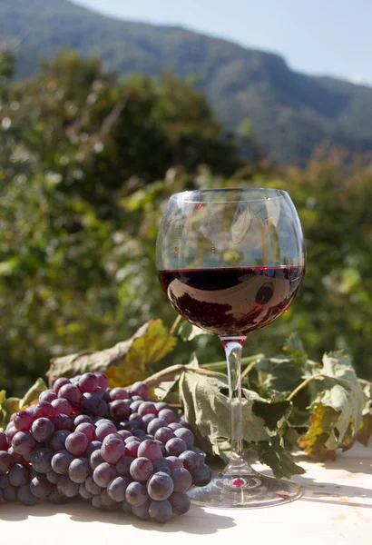 Rotwein und Trauben — Stockfoto
