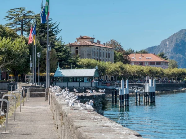 Bellano Itálie jezero como — Stock fotografie