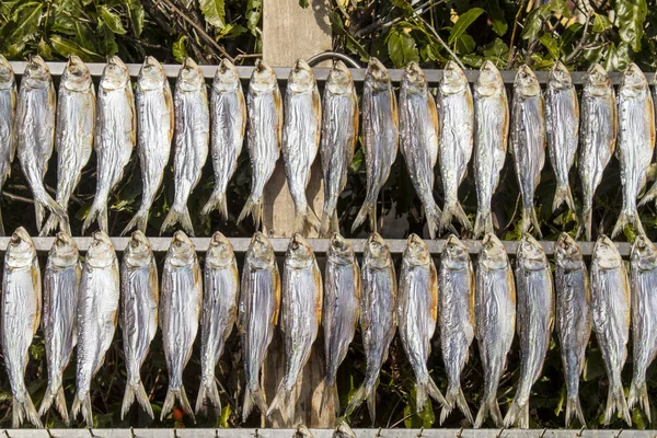 Fish to dry — Stock Photo, Image