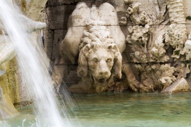 Piazza Navona Roma İtalya