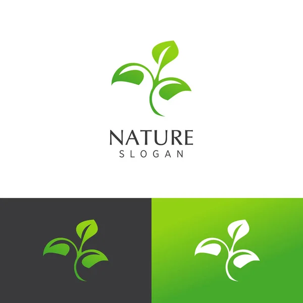 Modello Logo Natura Vettore Premium — Vettoriale Stock