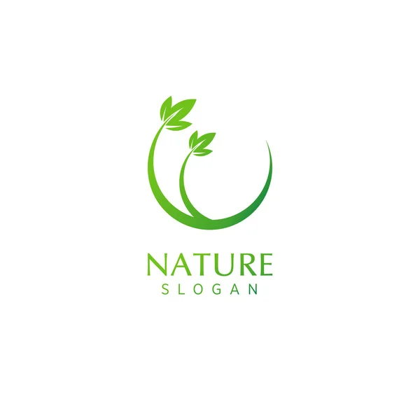 Modello Logo Natura Vettore Premium — Vettoriale Stock