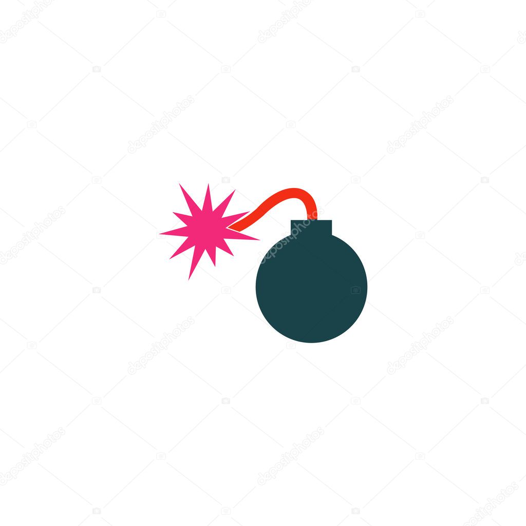 Bomb Icon Vector. Flat simple color pictogram