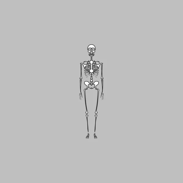Squelette symbole informatique — Image vectorielle