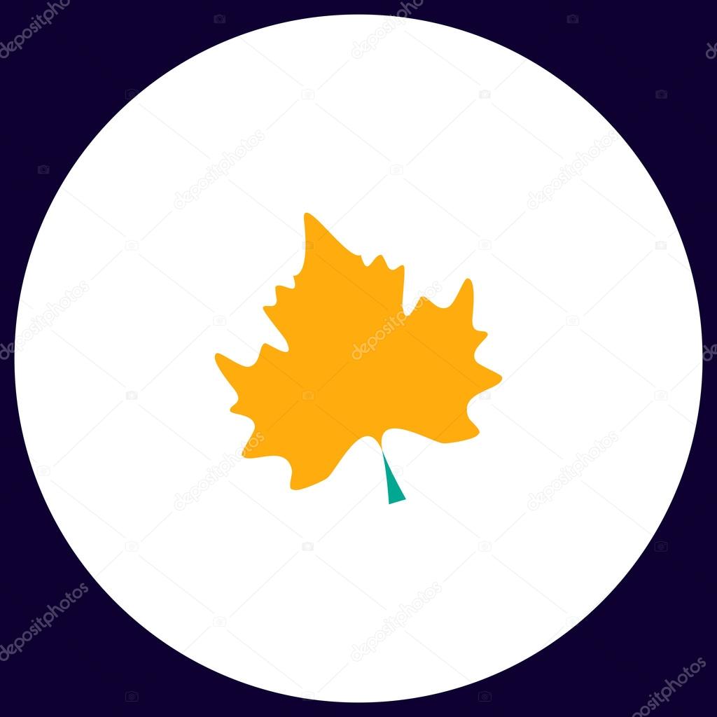 Maple Leaf Simple vector button. Illustration symbol. Color flat icon
