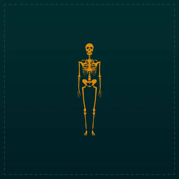 Esqueletos - ossos humanos —  Vetores de Stock