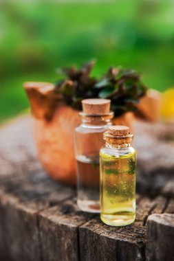 Nane yağı ve kokulu esans küçük şişelerde nane şekeri ile.