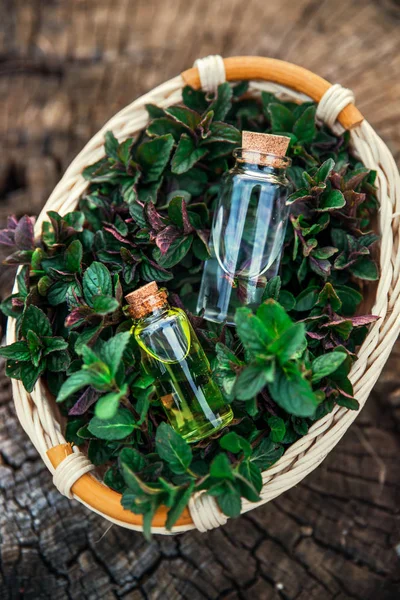 Aceite de menta y esencia fragante en botellas pequeñas con menta l —  Fotos de Stock