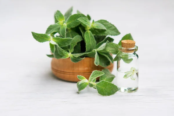 Spa and wellness setting with sea salt, oil essence, jasmin flow — Stock Photo, Image