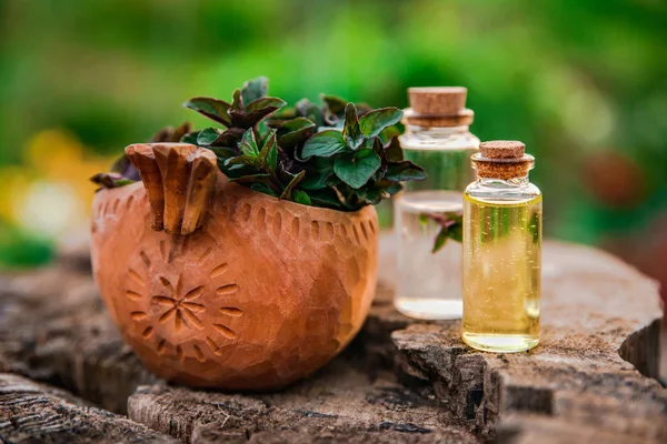 Aceite de menta y esencia fragante en botellas pequeñas con menta l —  Fotos de Stock