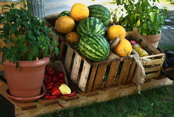 Fruit and vegetable stall at market — Stock Photo, Image