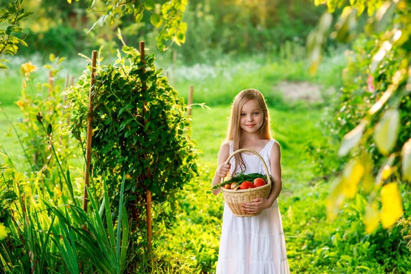 Bonito sorridente menina segura cesta com frutas e legumes — Fotografia de Stock