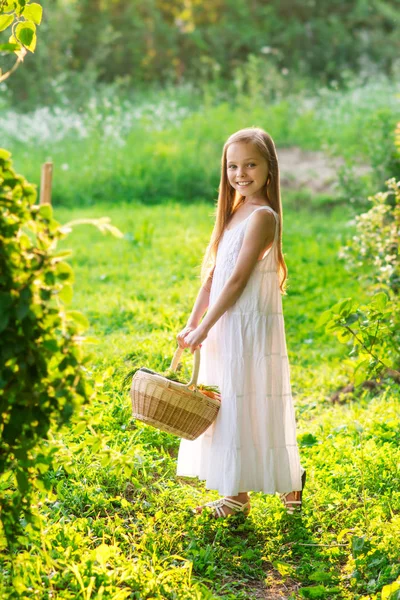 Söt leende liten flicka rymmer korg med frukt och grönsaker — Stockfoto