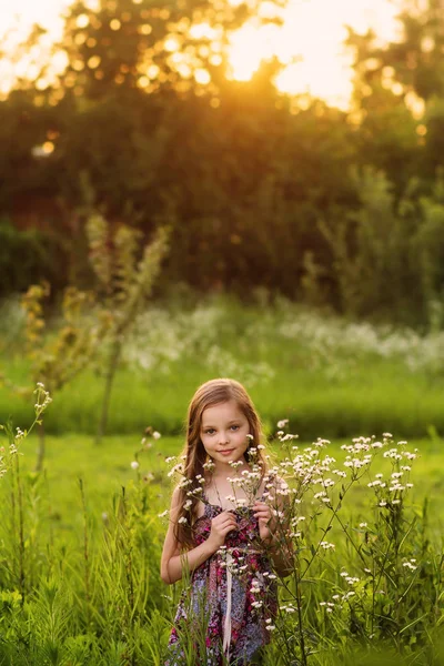 Χαριτωμένο χαμογελαστό κοριτσάκι στο λιβάδι της φάρμας. Πορτρέτο — Φωτογραφία Αρχείου