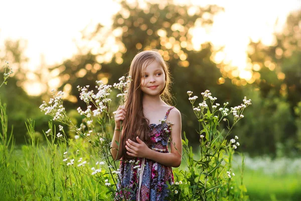 Cute smiling little girl on the meadow at the farm. Portrait of — 스톡 사진