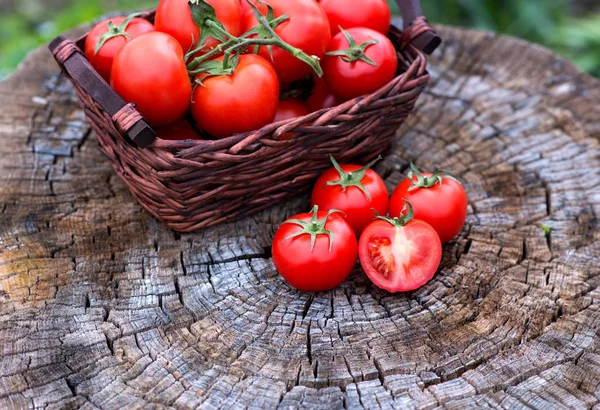 Cesta com tomates frescos no fundo de madeira. Ao ar livre, no — Fotografia de Stock