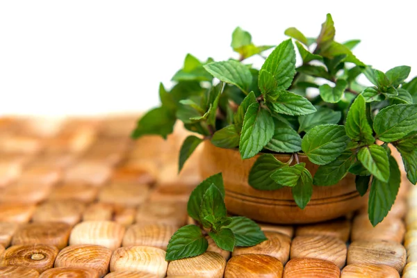 Mint in kleine mand op natuurlijke houten achtergrond, pepermunt, s — Stockfoto