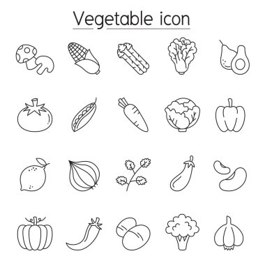 Vegetable icon set in thin line style