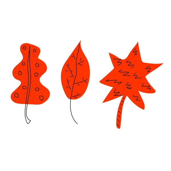 Kırmızı Yapraklar Vektör Çizimi — Stok Vektör