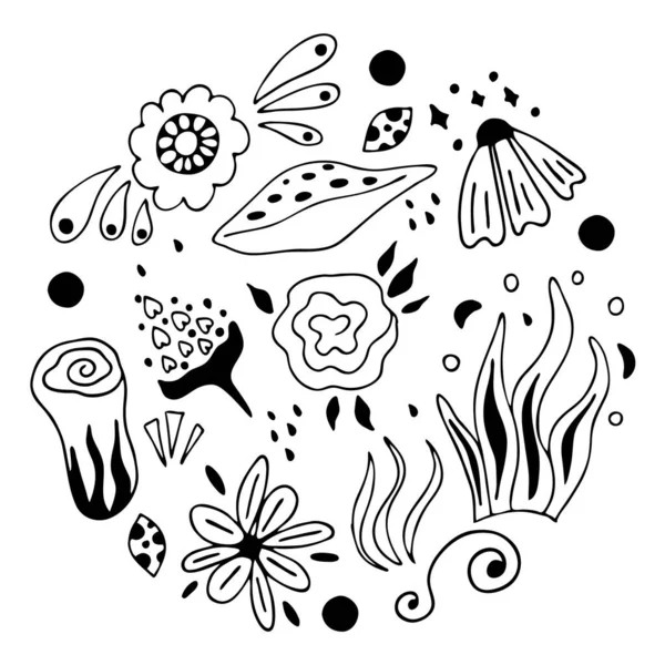 Conjunto Floral Dibujado Mano Elementos Para Diseño Ilustración Vectorial — Archivo Imágenes Vectoriales