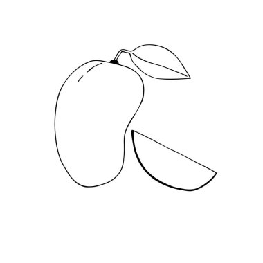 El yapımı mango ve dilimle. Vektör illüstrasyonu.