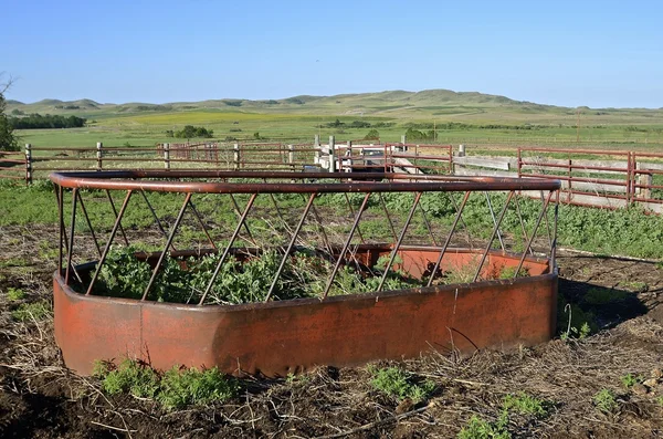 Neglected feedlot for beef cattle — Stock Photo, Image