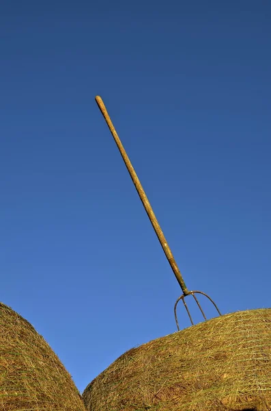 Three tined pitch fork stuck in hay bale — Stock fotografie