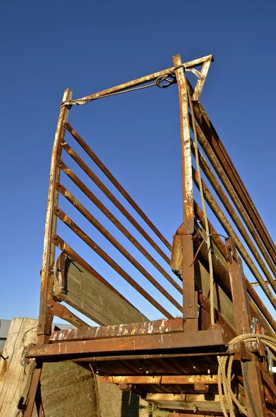 Chute para la carga de ganado y ganado — Foto de Stock