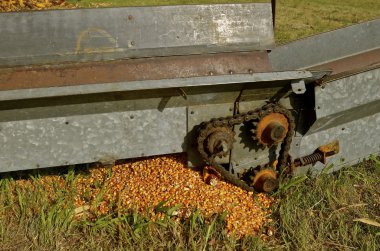 Asansör etrafında yere dökülen Mısır