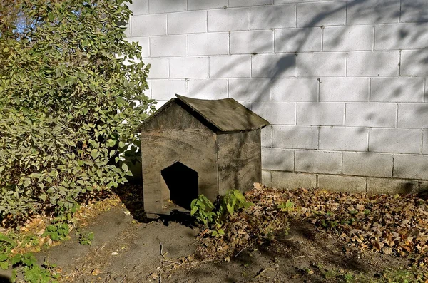 Gammele oude hondenhuis — Stockfoto