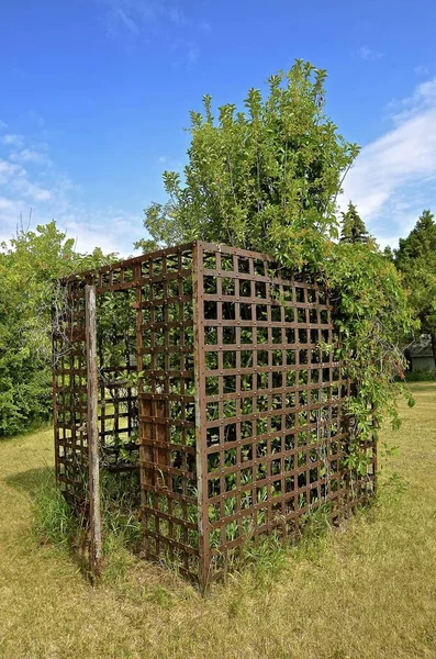 Antigua celda de metal — Foto de Stock