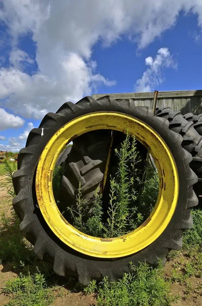 Thistles grow inside a tractor rim and tire