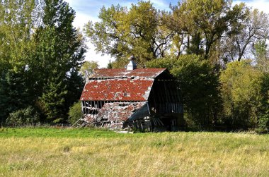 Çürüyen ahır çatı 
