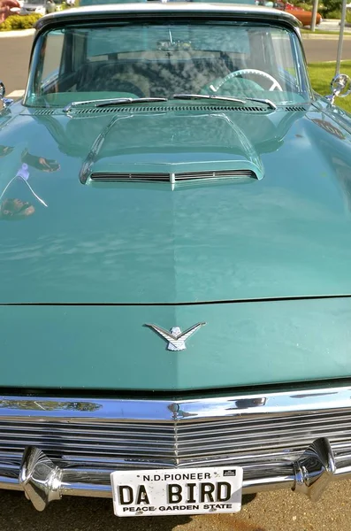 Huven och grillen i en Ford Thunderbird — Stockfoto