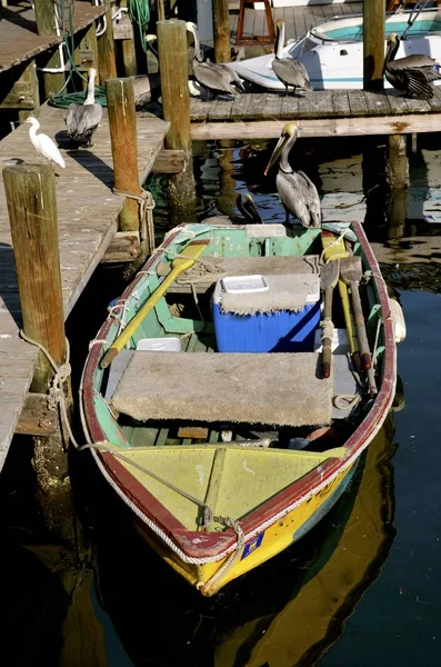 Colorido viejo barco de madera fila y pelícanos — Foto de Stock