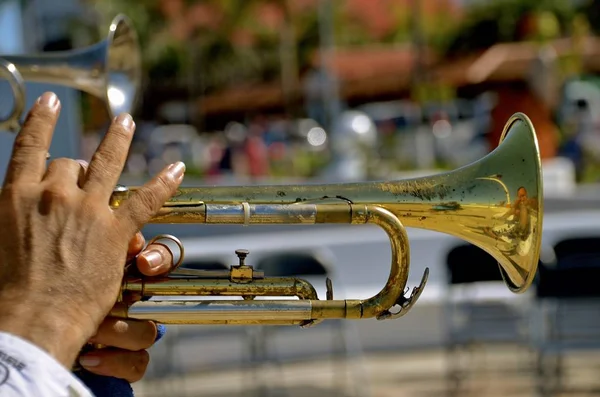 Prsty trumpetista — Stock fotografie