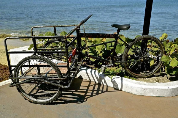 Bicicleta de tres ruedas utilizada para transportar — Foto de Stock