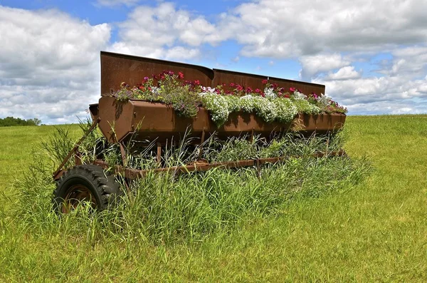 Taladro de semilla vieja con una caja de semillas llena de flores — Foto de Stock