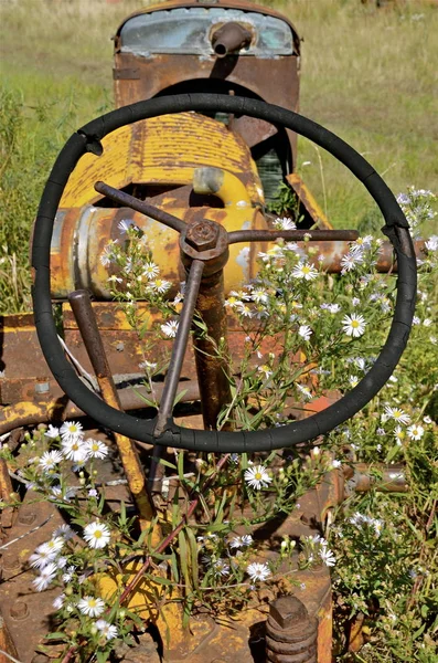 Flowers grow around an old bent steering wheel of a tractor — Stock Photo, Image