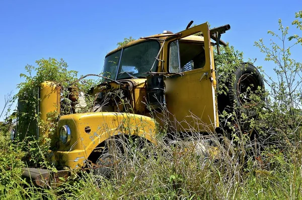 Unkraut wächst um ein altes, verlassenes LKW-Führerhaus — Stockfoto